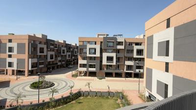 3 BHK Flat