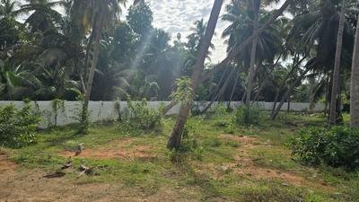 Image of 17000 Sq.ft Residential Plot / Land for sale in Kottakuppam, Puducherry for Rs. 30000000