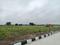 Isnapur Plot View 2