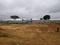 Kothanur Plot View 2