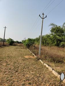 Pahala Plot View 1