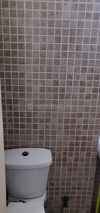 Common Bathroom Image of 1660 Sq.ft 3 BHK Apartment / Flat for sale in Sector 137 Noida for Rs. 15000000