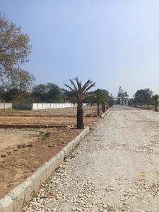 Image of 1000 Sq.ft Residential Plot / Land for sale in Amethi, Lucknow for Rs. 2100000