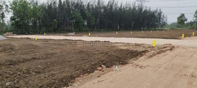 Image of 153 Sq.ft Residential Plot / Land for sale in Desa Pathrunipalem, Visakhapatnam for Rs. 1147500