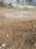 ROYAL RAJPUTANA CO Plot View 2
