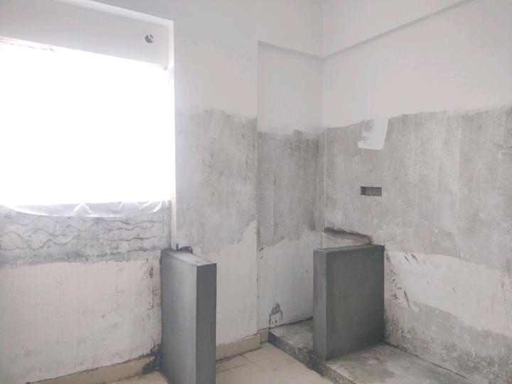 Fern Nest Main Image 1