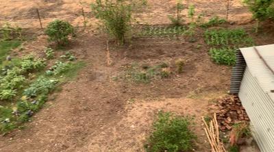 Image of 4000 Sq.ft Residential Plot / Land for sale in Nayta Mundla, Indore for Rs. 20000000