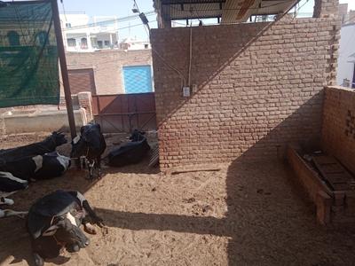 Image of 1260 Sq.ft Residential Plot / Land for sale in Gangashahar, Bikaner for Rs. 4500000