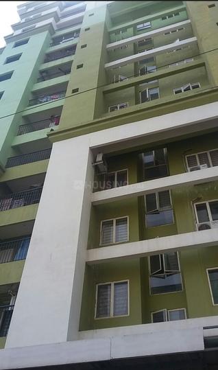 Regal builders More Images 1