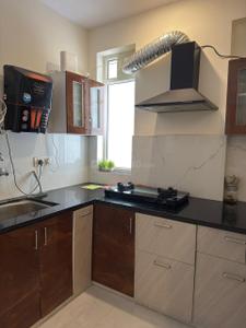 Kitchen Image of 1090 Sq.ft 2 BHK Apartment / Flat for rent in Redwood Zion , Narsinghpura Jaipur for Rs. 28000