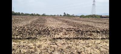 Image of 1089 Sq.ft Residential Plot / Land for sale in Sonkhar, Alibag for Rs. 330000