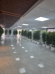 Image of PG OPPOSITE CANDOR SEC-48 in Sector 48, Gurgaon