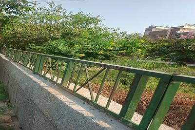 Image of 100 Sq.ft Residential Plot / Land for sale in Sector 116, Noida for Rs. 30000000