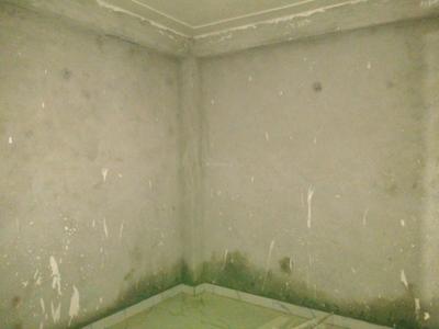 Bedroom Image of 450 Sq.ft 2 BHK Builder Floor for sale in Mayur Vihar Phase 1 New Delhi for Rs. 4000000