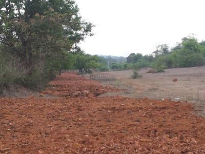 Image of 13250 Sq.ft Residential Plot / Land for sale in Bicholim, Goa for Rs. 140000000