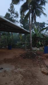 Image of 820 Sq.ft 2 BHK Independent House for sale in Shankarpura, Udupi for Rs. 3500000