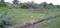 B. Thandrapadu Plot View 2