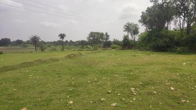 Image of 35000 Sq.ft Residential Plot / Land for sale in Nai Abadi, Banswara for Rs. 1000000