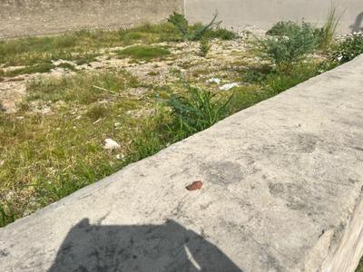 Image of 615 Sq.ft Residential Plot / Land for sale in Madanganj, Kishangarh for Rs. 92000000