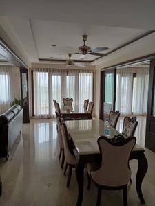 Hall Image of 9800 Sq.ft 5 BHK Apartment / Flat for sale in DLF Magnolias, Sector 42 Gurgaon for Rs. 670000000