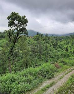 Image of 611 Sq.ft Residential Plot / Land for sale in Prem Nagar, Dehradun for Rs. 33600000