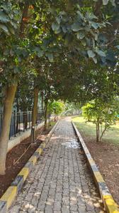 Image of 1095 Sq.ft 2 BHK Apartment / Flat for sale in Mahaveer Orchids, Choodasandra, Bengaluru for Rs. 8800000