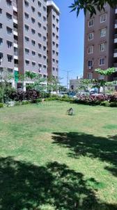 Image of 980 Sq.ft 2 BHK Apartment / Flat for rent in Bhicholi Mardana, Indore for Rs. 18000