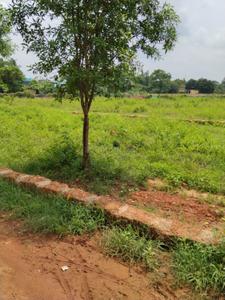 Image of 1250 Sq.ft Residential Plot / Land for sale in Phulnakhara, Cuttack for Rs. 3875000