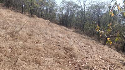 Image of 160000 Sq.ft Residential Plot / Land for sale in Wai, Satara for Rs. 24000000
