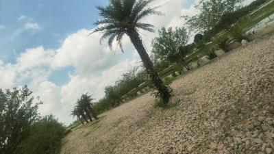 Image of 1000 Sq.ft Residential Plot / Land for sale in Sarosa Bharosa, Lucknow for Rs. 3000000