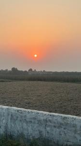 Image of 900 Sq.ft Residential Plot / Land for sale in Panigaon Banger, Vrindavan for Rs. 2500000