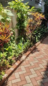 Image of 5381 Sq.ft 6 BHK Independent House for rent in Panjim, Goa for Rs. 270000