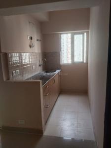 Kitchen Image of 535 Sq.ft 1 BHK Apartment / Flat for rent in Amrapali Dream Valley 2, Noida Extension Greater Noida for Rs. 14000