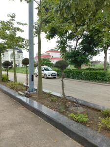 Image of 265 Sq.ft Residential Plot / Land for sale in New Chandigarh, Chandigarh for Rs. 44900000
