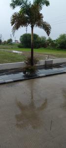 Image of 800 Sq.ft Residential Plot / Land for sale in Nainod, Indore for Rs. 3880000