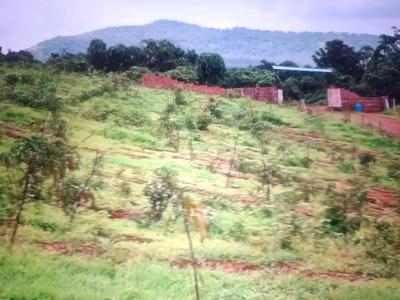 Image of 1089 Sq.ft Residential Plot / Land for sale in Pen, Raigad for Rs. 255000