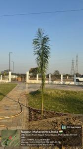 Image of 946 Sq.ft Residential Plot / Land for sale in Shankarpur, Nagpur for Rs. 3240000