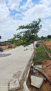 Image of 222 Sq.ft Residential Plot / Land for sale in Sreenidhi Estates Serengeti, Tukkuguda, Hyderabad for Rs. 5000000