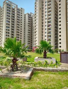 Image of 1100 Sq.ft 3 BHK Apartment / Flat for sale in MGH Mulberry County, Sector 70, Faridabad for Rs. 7500000