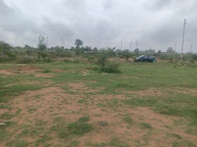 Image of 1485 Sq.ft Residential Plot / Land for sale in Shadnagar, Ranga Reddy for Rs. 3600000