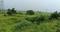 Chowk Plot View 2