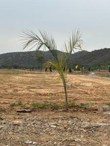 Image of 500 Sq.ft Residential Plot / Land for sale in Kotputli, Jaipur for Rs. 4000000