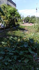 Image of 1440 Sq.ft Residential Plot / Land for sale in Purba Barisha, Kolkata for Rs. 3500000
