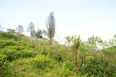 Image of 1740 Sq.ft Residential Plot / Land for sale in Kotagiri, Ooty for Rs. 18000000