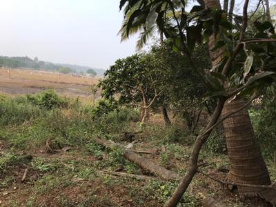 Image of 40000 Sq.ft Residential Plot / Land for sale in Bagmala, Alibag for Rs. 40000000
