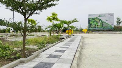 Residential Plot