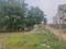 Madhavaram Milk Colony Plot View 2