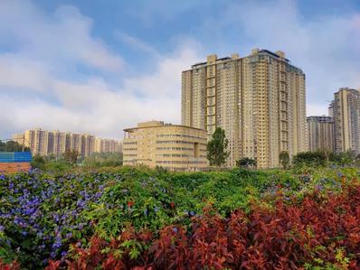 Image of 1139 Sq.ft 2 BHK Apartment / Flat for sale in Nikoo Homes V, Kannuru, Bengaluru for Rs. 14900007