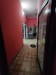 Image of 800 Sq.ft 1 BHK Builder Floor for rent in Lalpur Nayak, Nainital for Rs. 8000