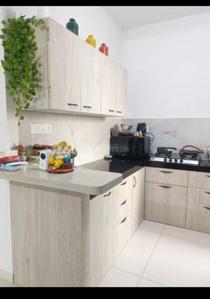 Kitchen Image of 1650 Sq.ft 3 BHK Apartment / Flat for rent in Adani Amogha, Shantigram Ahmedabad for Rs. 55000